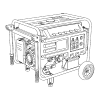 Preview: Poulan Pro PP4300
