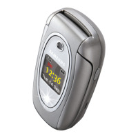 Preview: Samsung SGH-E335