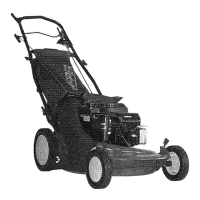 Preview: Snapper 2167517BV