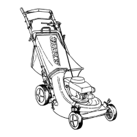 Preview: Snapper NP216012