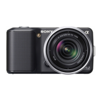 Preview: Sony NEX-3 C