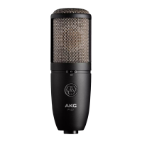 Preview: AKG P420
