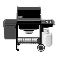 Preview: Weber 55008