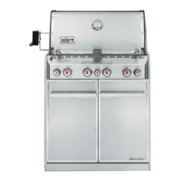 Preview: Weber S-460TM