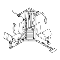 Preview: Weider WESY37530