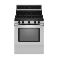 Preview: Whirlpool W10196150 B