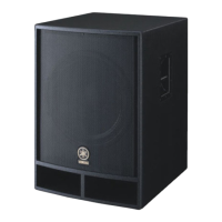 Preview: Yamaha R112