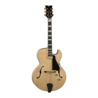 Preview: Dean Custom 350 Floyd