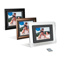 Preview: Fidelity Electronics DOF-1000F