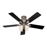 Preview: Hunter 42667-01