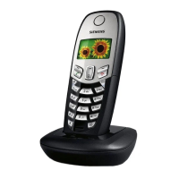 Preview: Siemens Gigaset C45