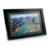 Preview: Fidelity Electronics DPF-1045F