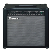 Preview: Ibanez TB150 R
