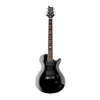 Preview: PRS Guitars Tremonti SE