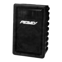 Preview: Peavey PR 1003
