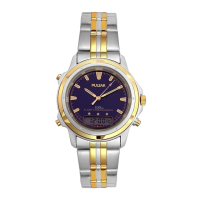 Preview: Pulsar PBK002