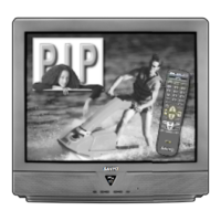 Preview: Sanyo DS31810