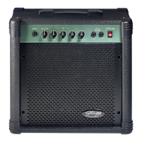 Preview: Stagg 40 BA