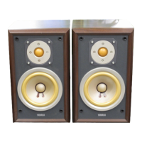 Preview: Yamaha NS-5