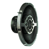 Preview: 409B CEILING SPEAKER