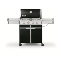 Preview: Weber Summit E-420