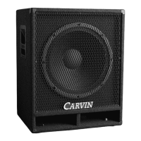 Preview: CARVIN RL118