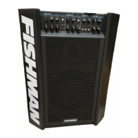 Preview: Fishman Acoustic Performer Pro