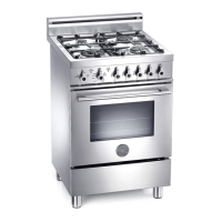 Preview: Bertazzoni X244GGVX