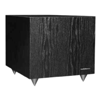 Preview: AudioSource SW 10