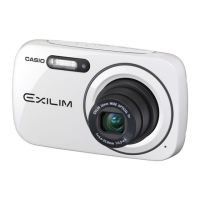 Preview: Casio EXILIM EX-N1