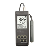 Preview: Hanna Instruments HI 9033