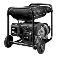 Preview: Briggs & Stratton 30320