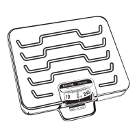 Preview: Taylor TR250SS