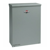 Preview: Briggs & Stratton 1918