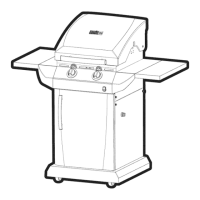 Preview: Char-Broil 463270613