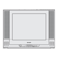 Preview: Sharp 21 B-FX1