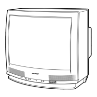 Preview: Sharp 27 R-S100