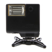 Preview: Pentax AF-130P