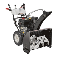 Preview: MTD 31 AH65 LG704