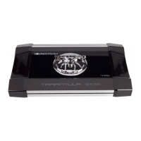 Preview: Tarantula Amplifier Series