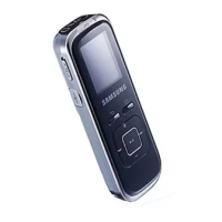 Preview: Samsung YV-150