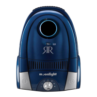 Preview: Riccar Moonlight