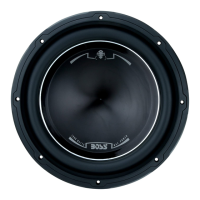 Preview: Phantom P10 DVC