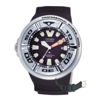 Preview: Citizen B873