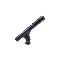 Preview: Shure BG 4.1