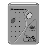 Preview: Motorola Pronto