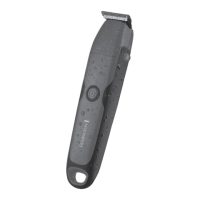 Preview: Remington WETech BHT6250