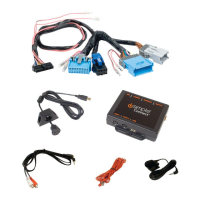 Preview: iSimple ConnectGM