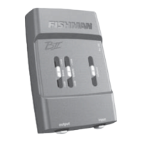 Preview: Fishman OUTBOARD PREAMP