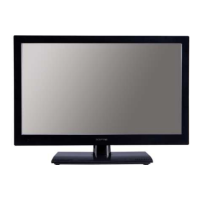 Preview: Sceptre E19